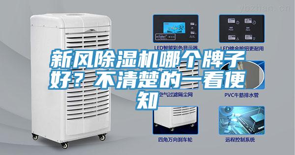 新風草莓污视频在线看哪個牌子好？不清楚的一看便知