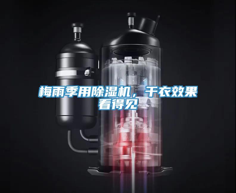梅雨季用草莓污视频在线看，幹衣效果看得見