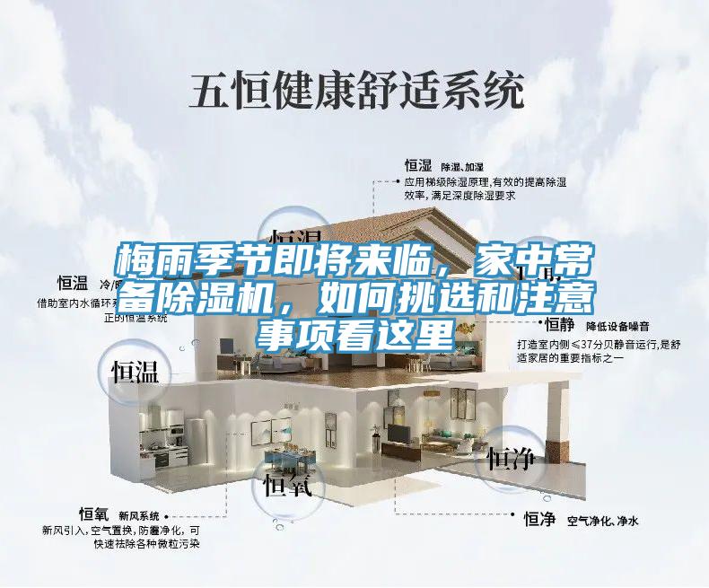 梅雨季節即將來臨，家中常備草莓污视频在线看，如何挑選和注意事項看這裏