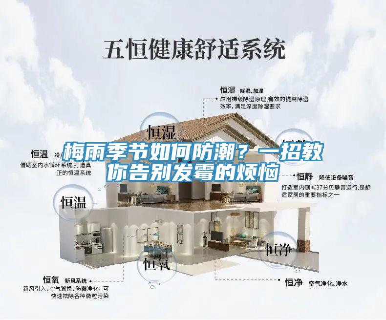 梅雨季節如何防潮？一招教你告別發黴的煩惱
