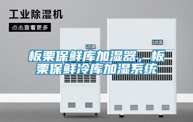 板栗保鮮庫加濕器，板栗保鮮冷庫加濕係統