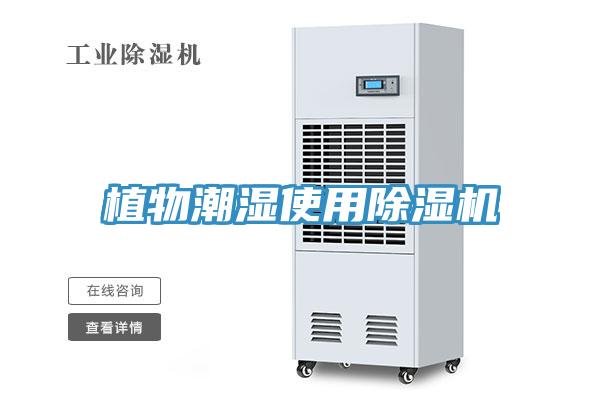 植物潮濕使用草莓污视频在线看