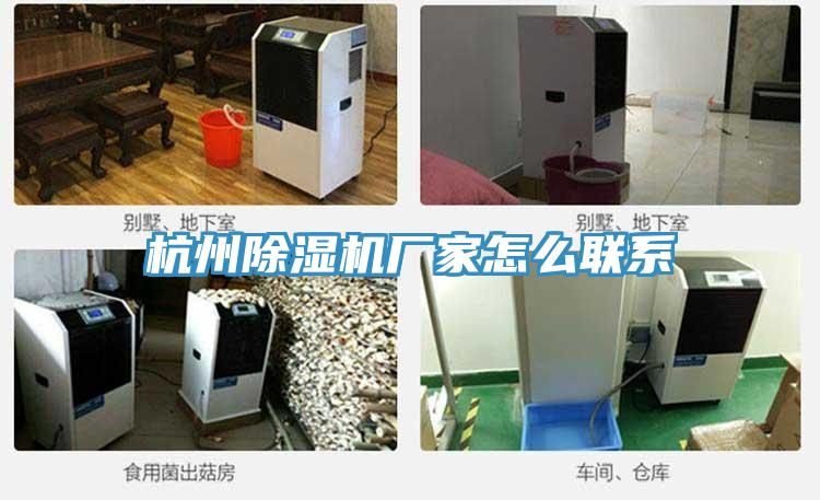 杭州草莓污视频在线看廠家怎麽聯係