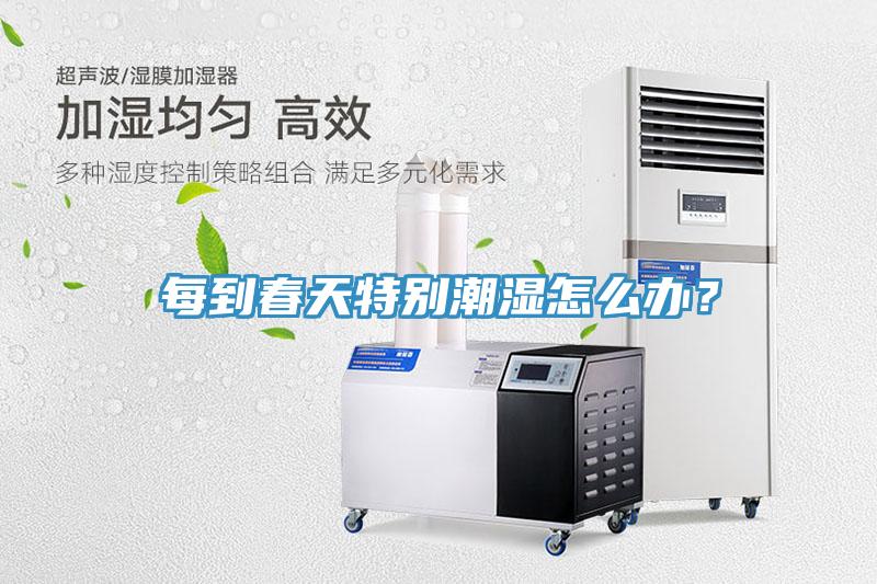每到春天特別潮濕怎麽辦？