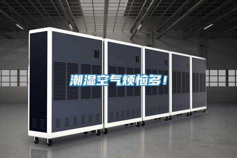 潮濕空氣煩惱多！