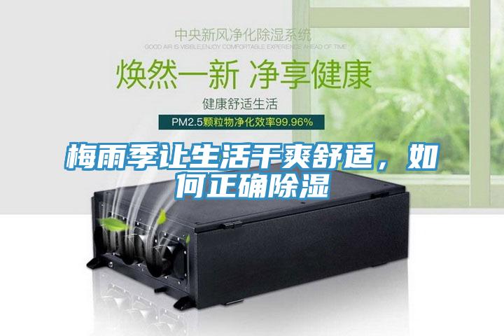 梅雨季讓生活幹爽舒適，如何正確除濕