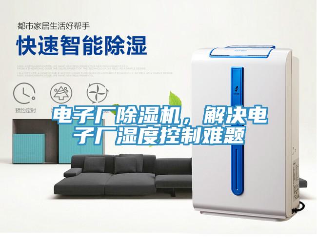 電子廠草莓污视频在线看，解決電子廠濕度控製難題