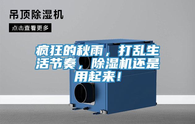 瘋狂的秋雨，打亂生活節奏，草莓污视频在线看還是用起來！