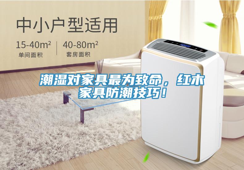 潮濕對家具最為致命，紅木家具防潮技巧！