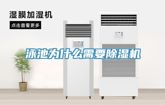 泳池為什麽需要草莓污视频在线看