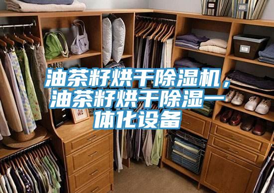 油茶籽烘幹草莓污视频在线看，油茶籽烘幹除濕一體化設備