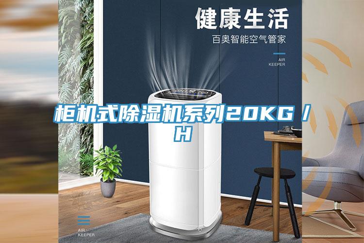 櫃機式草莓污视频在线看係列20KG／H