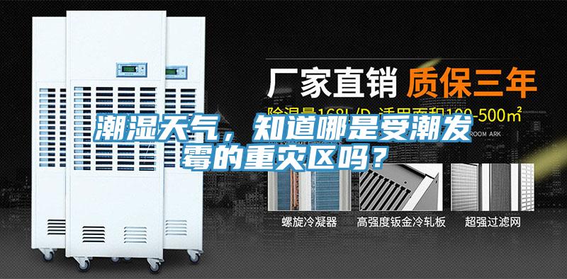 潮濕天氣，知道哪是受潮發黴的重災區嗎？