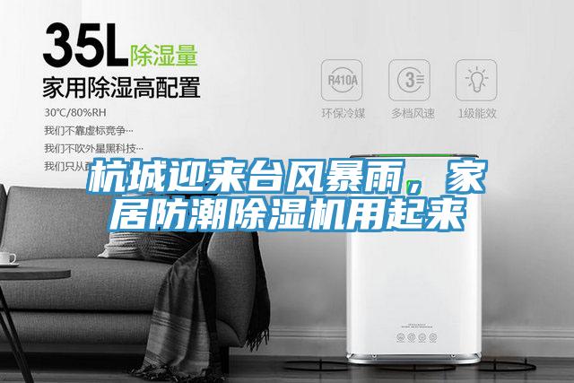 杭城迎來台風暴雨，家居防潮草莓污视频在线看用起來
