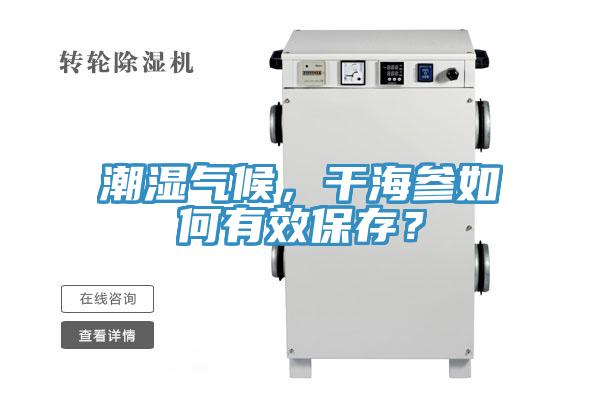 潮濕氣候，幹海參如何有效保存？