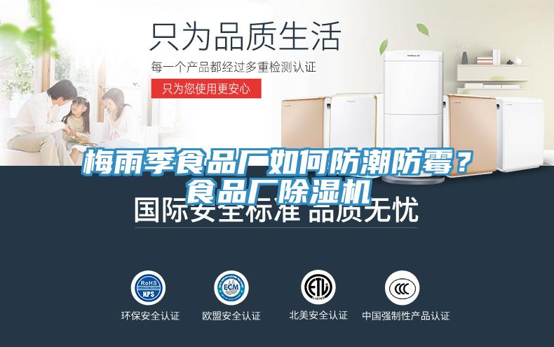 梅雨季食品廠如何防潮防黴？食品廠草莓污视频在线看