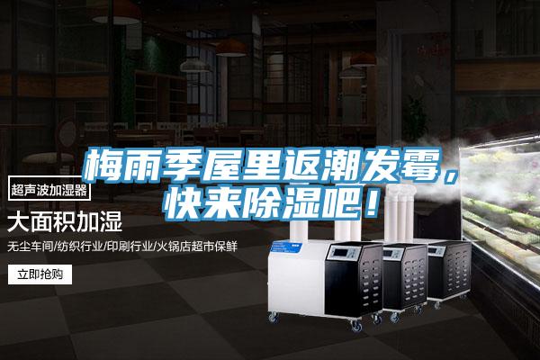 梅雨季屋裏返潮發黴，快來除濕吧！