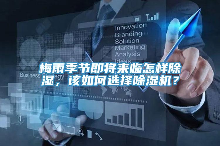 梅雨季節即將來臨怎樣除濕，該如何選擇草莓污视频在线看？