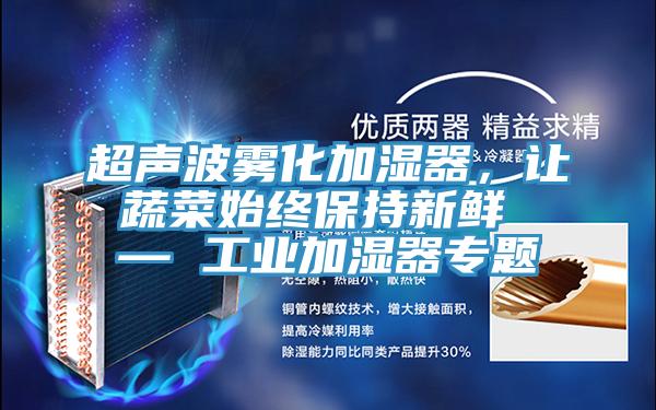 超聲波霧化加濕器，讓蔬菜始終保持新鮮 — 工業加濕器專題