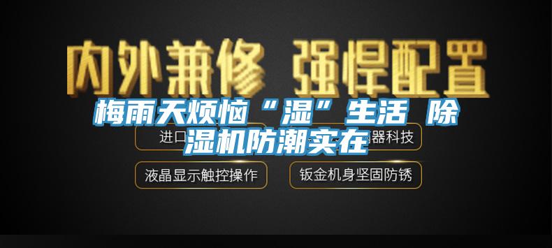 梅雨天煩惱“濕”生活 草莓污视频在线看防潮實在