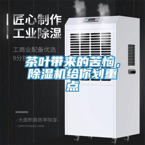 茶葉帶來的苦惱，草莓污视频在线看給你劃重點