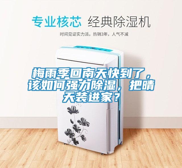 梅雨季回南天快到了，該如何強力除濕，把晴天裝進家？
