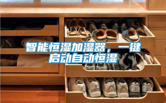 智能恒濕加濕器，一鍵啟動自動恒濕