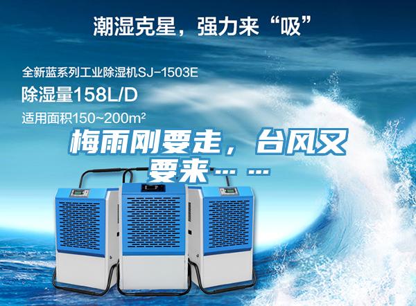 梅雨剛要走，台風又要來……