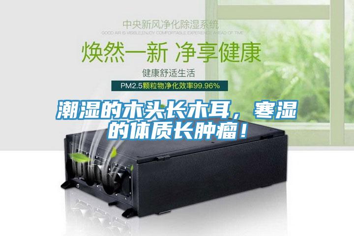 潮濕的木頭長木耳，寒濕的體質長腫瘤！