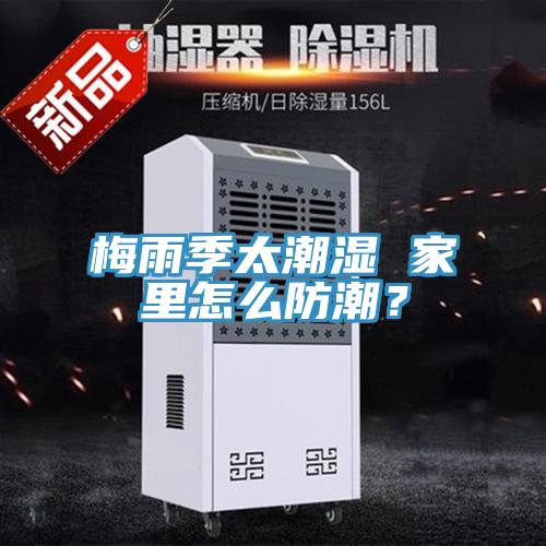 梅雨季太潮濕 家裏怎麽防潮？