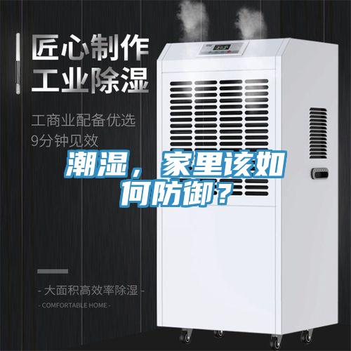 潮濕，家裏該如何防禦？