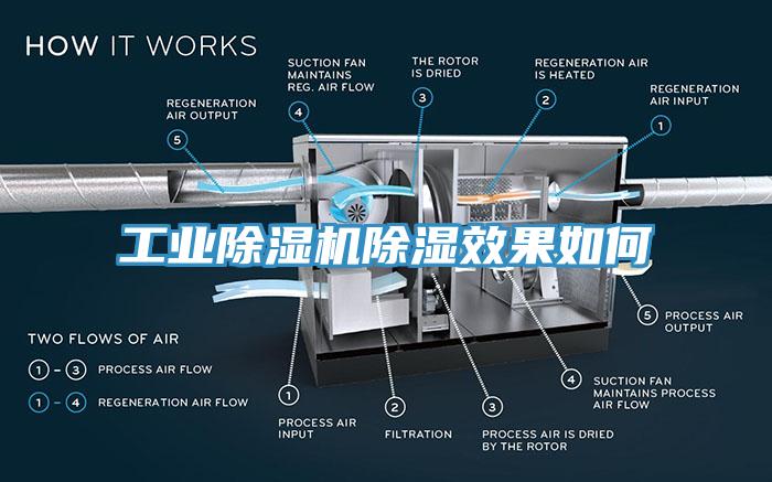 工業草莓污视频在线看除濕效果如何