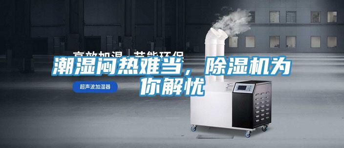 潮濕悶熱難當，草莓污视频在线看為你解憂