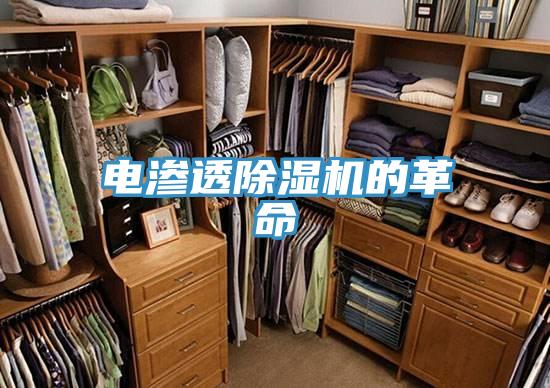 電滲透草莓污视频在线看的革命
