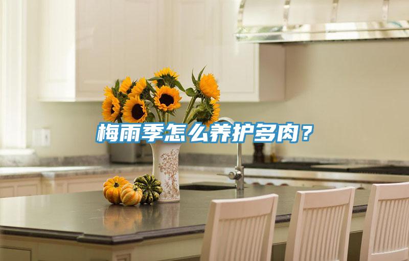 梅雨季怎麽養護多肉？