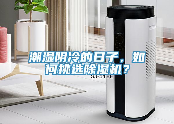 潮濕陰冷的日子，如何挑選草莓污视频在线看？