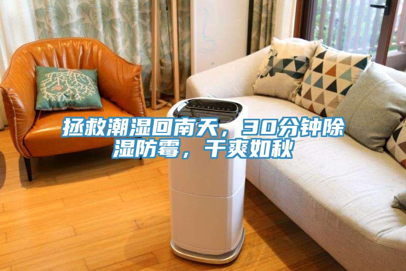 拯救潮濕回南天，30分鍾除濕防黴，幹爽如秋