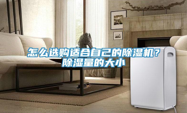 怎麽選購適合自己的草莓污视频在线看？除濕量的大小