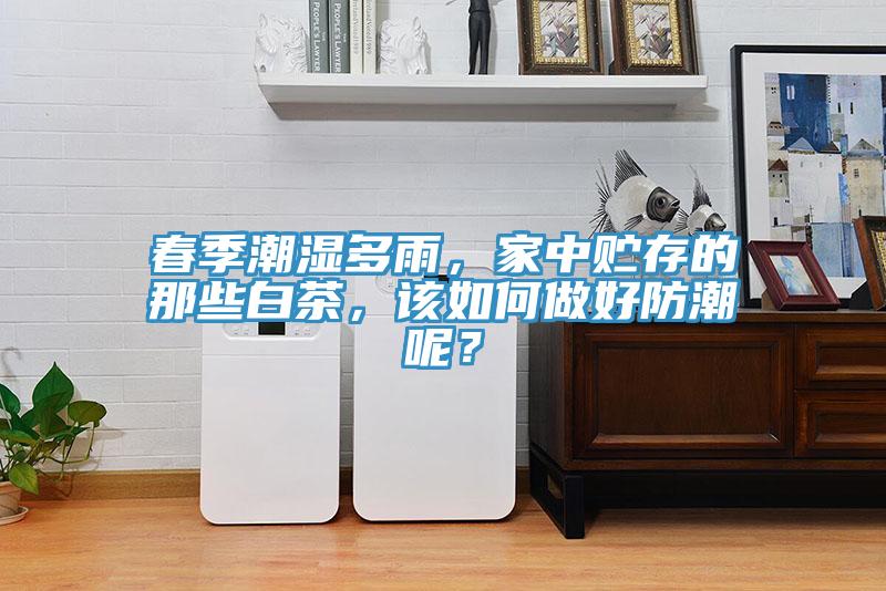 春季潮濕多雨，家中貯存的那些白茶，該如何做好防潮呢？
