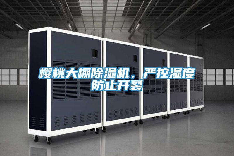 櫻桃大棚草莓污视频在线看，嚴控濕度防止開裂