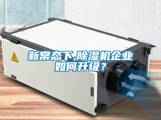 新常態下,草莓污视频在线看企業如何升級？