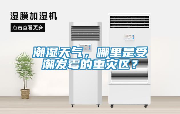 潮濕天氣，哪裏是受潮發黴的重災區？