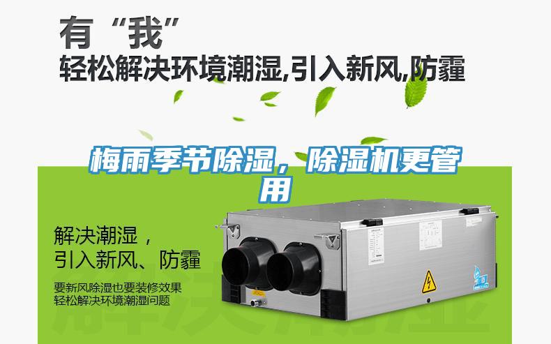 梅雨季節除濕，草莓污视频在线看更管用