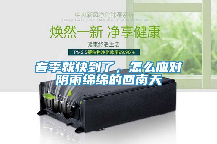 春季就快到了，怎麽應對陰雨綿綿的回南天