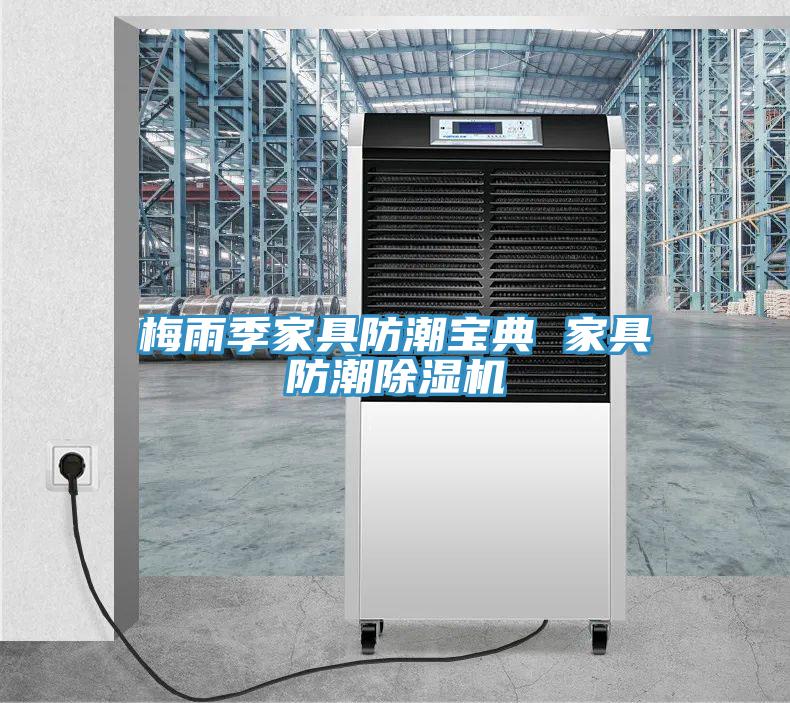 梅雨季家具防潮寶典 家具防潮草莓污视频在线看