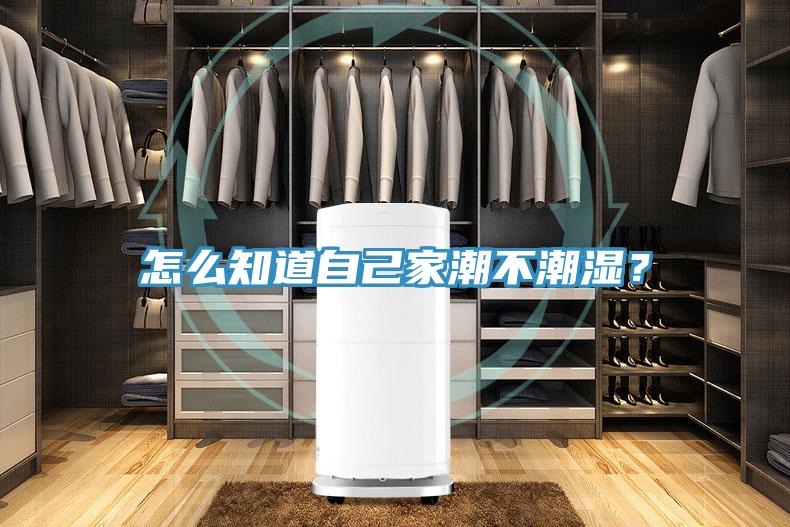 怎麽知道自己家潮不潮濕？