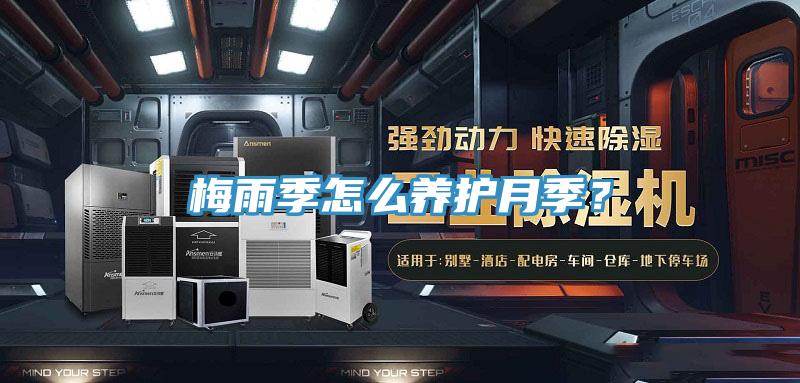 梅雨季怎麽養護月季？