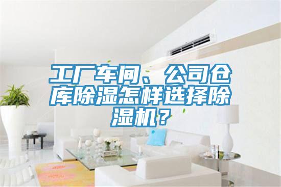 工廠車間、公司倉庫除濕怎樣選擇草莓污视频在线看？