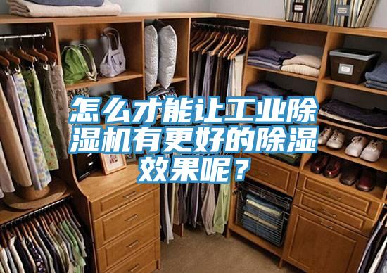 怎麽才能讓工業草莓污视频在线看有更好的除濕效果呢？