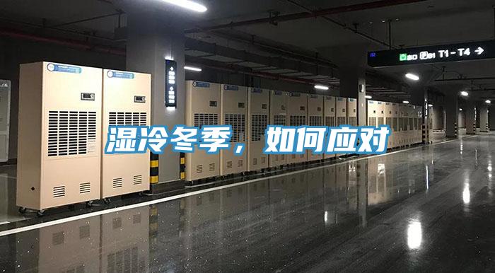 濕冷冬季，如何應對